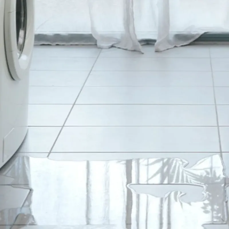 Appliance Leak Cleanup in Bellevue, WI