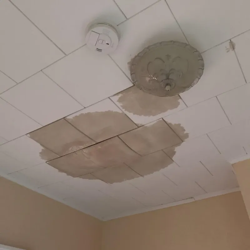 Ceiling Water Damage Repair in Bellevue, WI