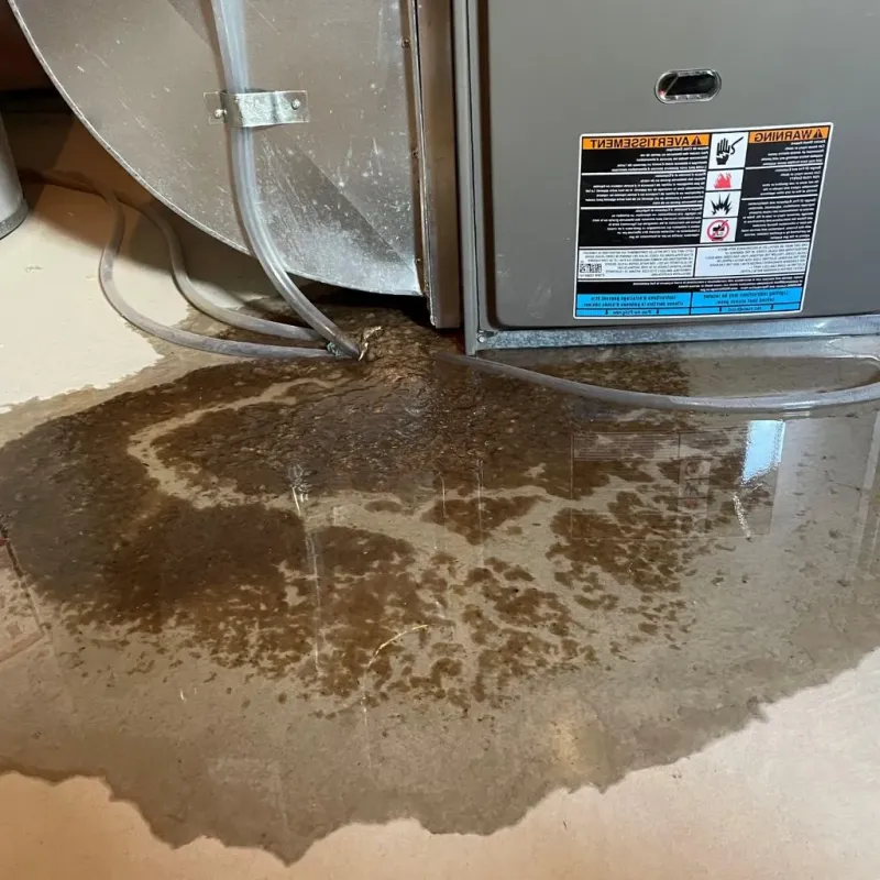 Pipe Burst and Leak Restoration in Bellevue, WI